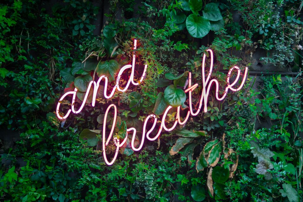 Photo of neon sign saying 'and breathe' on background of green foilage