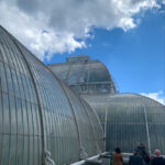 Photo taken from the side of one of Kew's glass houses, you can see people from KCIL walking along the side