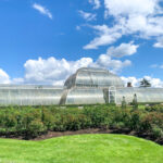 A view of one of the Kew glass houses