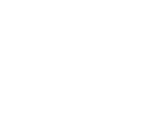 Sutton ITT and Sutton council logos