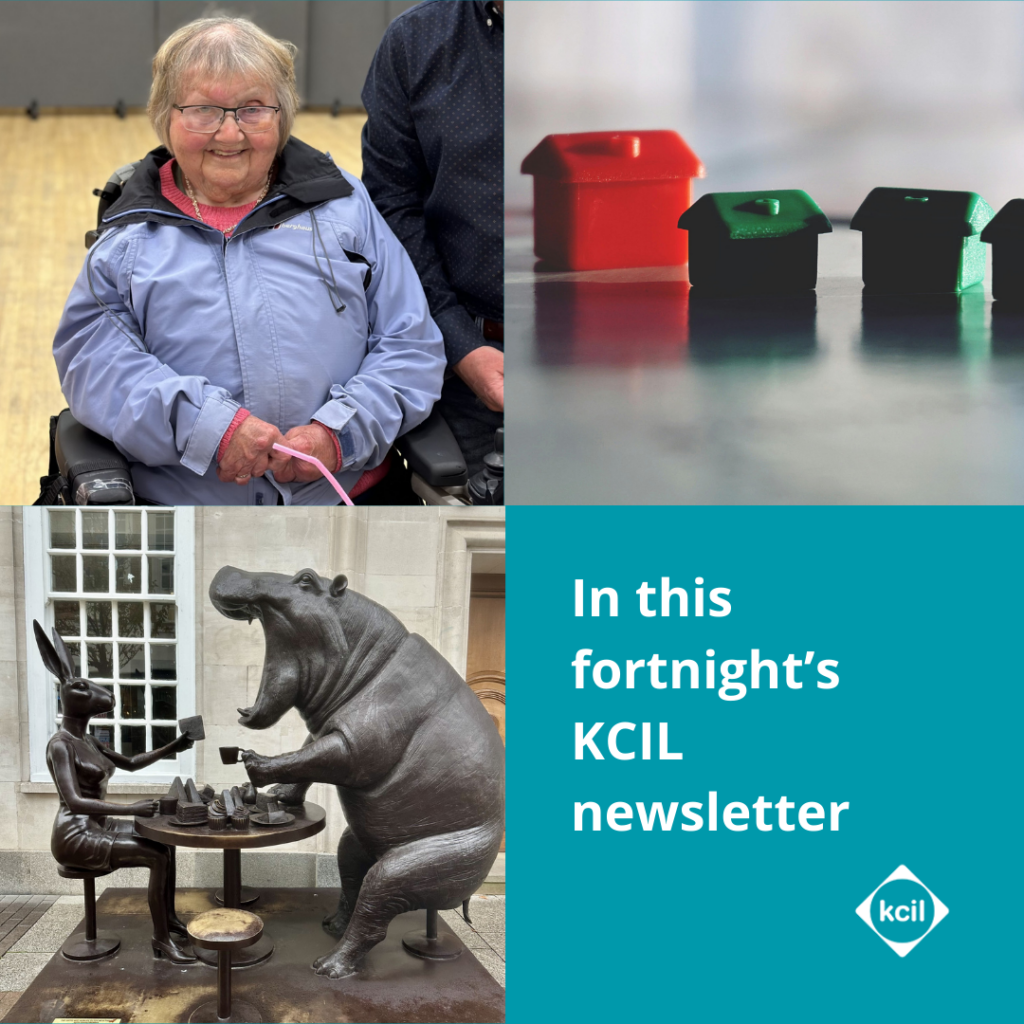 A selection of photos from this fortnight's newsletter