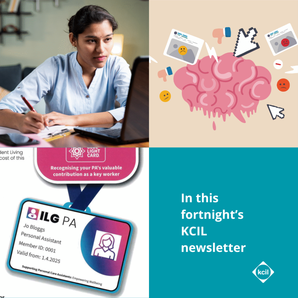 Selection of images from this fortnight's newletter