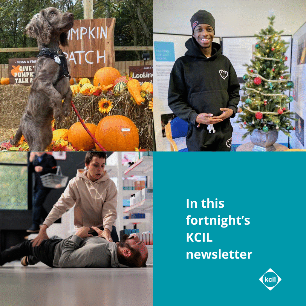 A selection of photos from this fortnight's newsletter